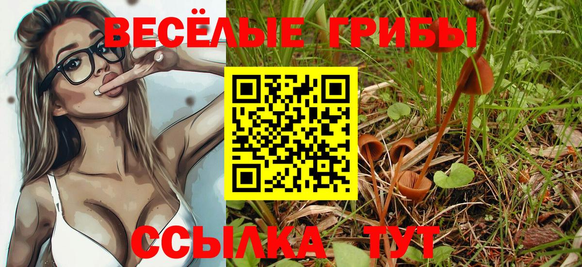 Псилоцибиновые грибы GOLDEN TEACHER Сибай